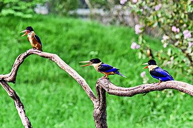 微软确认《光环：无限》战役任务不能重复游玩